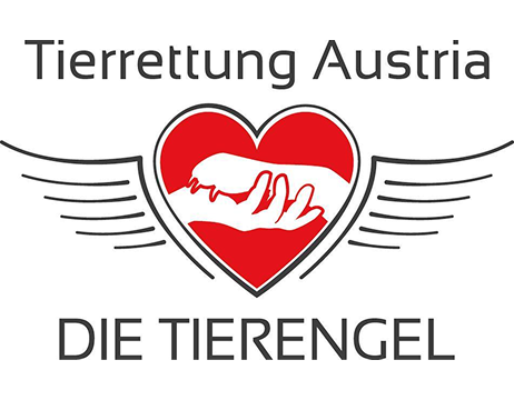 Tierengel Austria